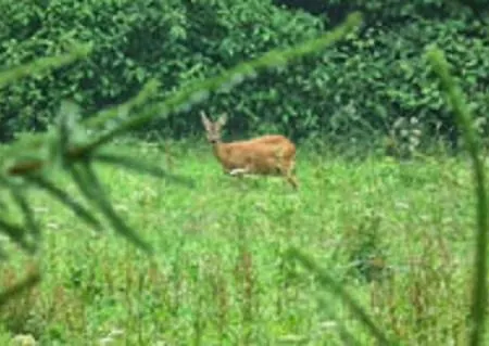 Bergblick - Mit Sauna Und Dampfbad Und Yacuzzi *